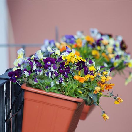Il Giardino Segreto Bed and Breakfast Σορέντο Εξωτερικό φωτογραφία