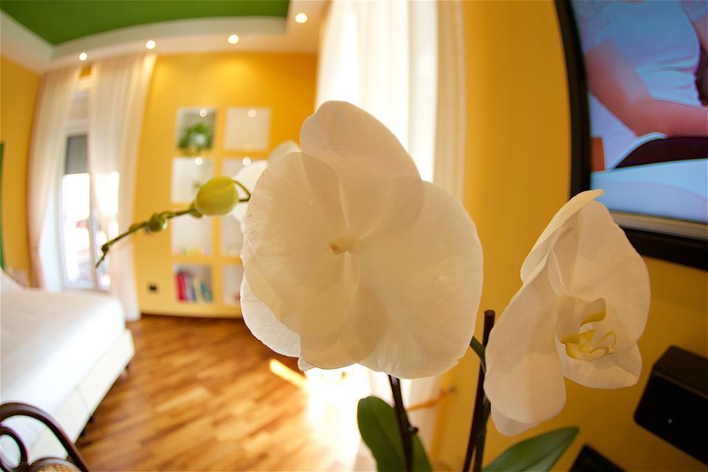 Il Giardino Segreto Bed and Breakfast Σορέντο Εξωτερικό φωτογραφία