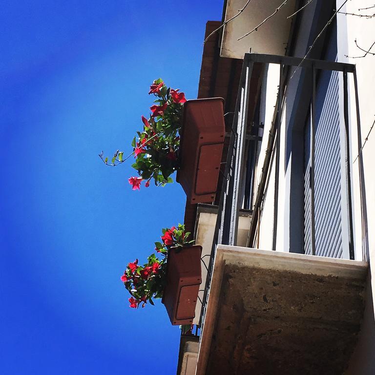 Il Giardino Segreto Bed and Breakfast Σορέντο Εξωτερικό φωτογραφία