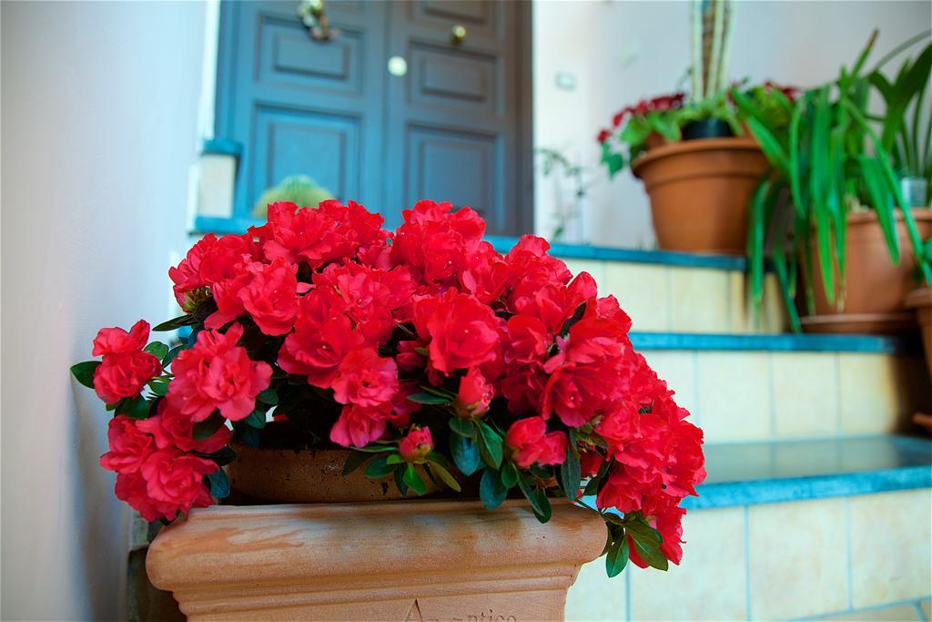 Il Giardino Segreto Bed and Breakfast Σορέντο Εξωτερικό φωτογραφία