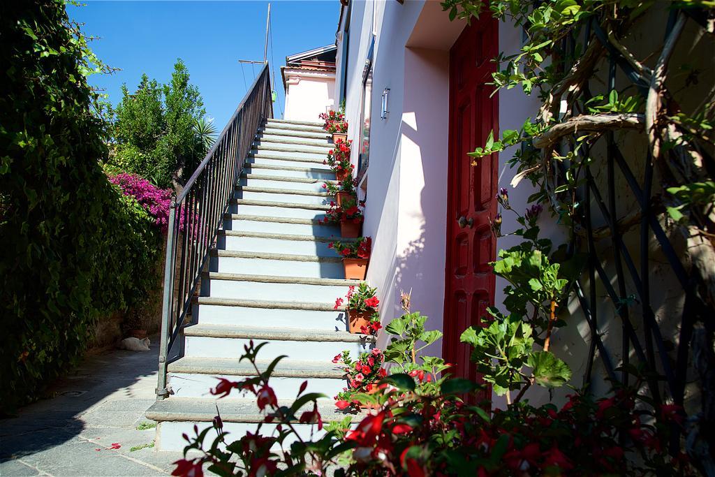 Il Giardino Segreto Bed and Breakfast Σορέντο Εξωτερικό φωτογραφία