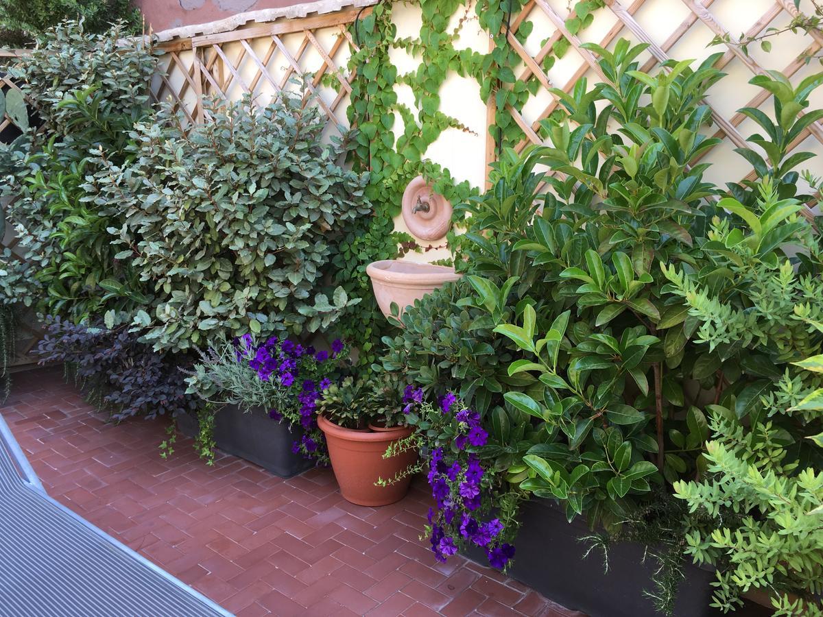 Il Giardino Segreto Bed and Breakfast Σορέντο Εξωτερικό φωτογραφία